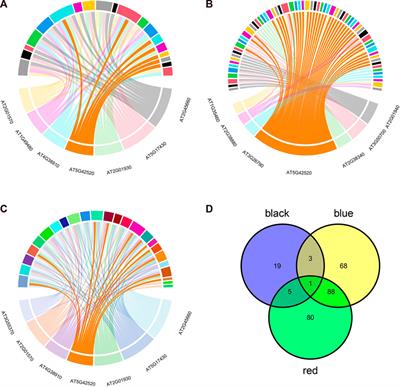 Analysis of basic pentacysteine6 transcription factor involved in abiotic stress response in Arabidopsis thaliana